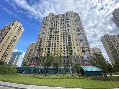 新宇星城爆料视频最新,未来城市生活新篇章