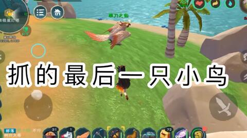 创造与魔法摸鱼社最新爆料,揭秘游戏幕后秘密与神秘新内容